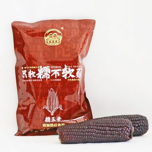 【48h发货 玉米兄弟有机黑玉米】软糯香甜 玉米味浓 人工除草 物理灭虫 颗粒饱满 商品图1