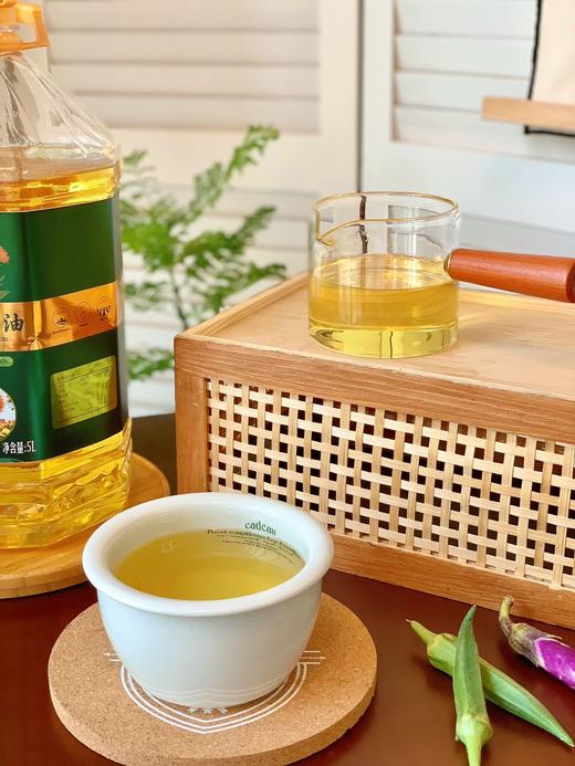 【红花籽油】低温纯物理压榨  富含维生素E  滴滴精华  自然珍贵 5L/桶 商品图2