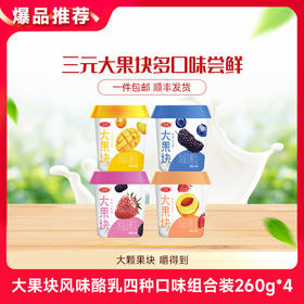 【快递到家-低温】大果块风味酪乳四种口味组合装260g*4