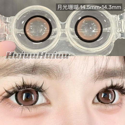 【大直径日抛】Sheepcon-月光珊瑚/月光琥珀-总直径14.5mm【日抛 0-1000度 不含525/575】 商品图1