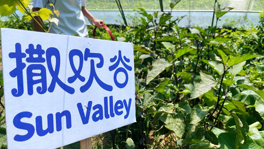 撒欢谷农场 鲜蛋蔬菜家庭套餐（30 枚鸡蛋 + 5 斤时令蔬菜） 商品图1