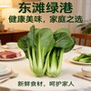 肉菜（1份，约500g） 商品缩略图2