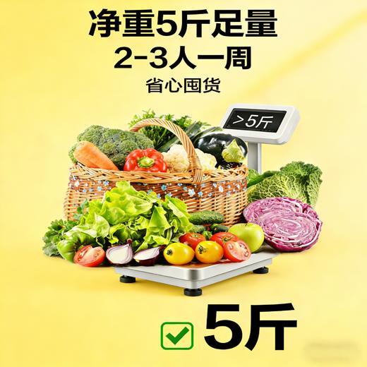 【东滩绿港】生态蔬菜体验餐B（绿色基地种植） 商品图1