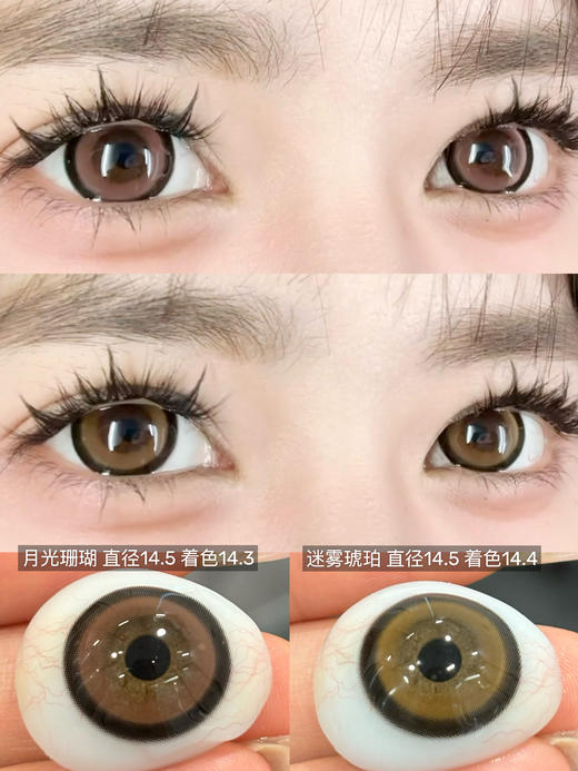 【大直径日抛】Sheepcon-月光珊瑚/月光琥珀-总直径14.5mm【日抛 0-1000度 不含525/575】 商品图0