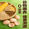 散养草鸡蛋（30枚） 商品缩略图3