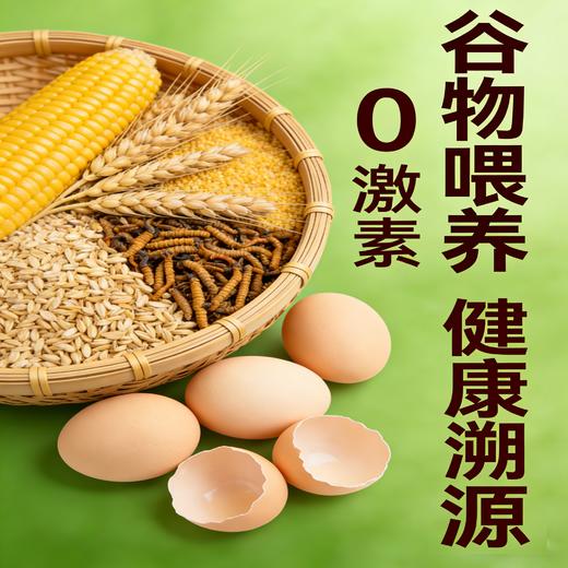 散养草鸡蛋（30枚） 商品图3