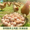 散养草鸡蛋（30枚） 商品缩略图0