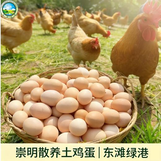 散养草鸡蛋（30枚） 商品图0