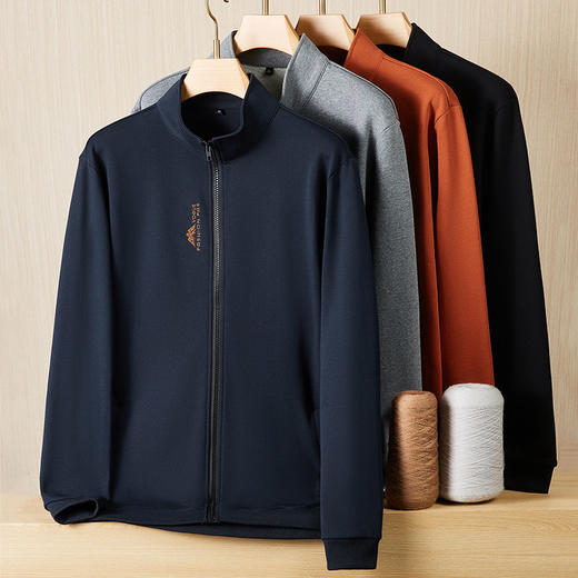 【DDS】【100%棉】大依优型大码男装全棉春季休闲卫衣外套纯棉夹克商务百搭运动长袖 商品图6
