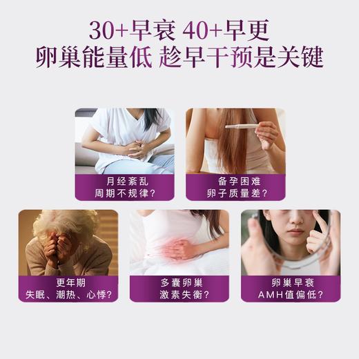 【卵巢肽上新】MamaMujer慕婕 活性卵巢肽全能巢养瓶 卵巢早衰 加速皮肤衰老 弹性变差 多囊/试管/高龄/备孕困难/早更 不含雌激素 60粒/瓶 商品图1