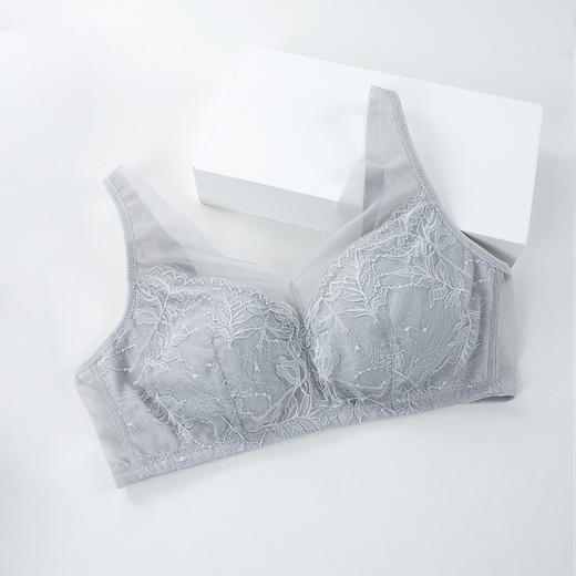 【洛诗琳老顾客福利定制款】真丝大胸显小 收副乳文胸 真丝V领网纱大胸显小文胸 桑蚕丝蕾丝花边聚拢内衣 贴身衣物不支持退换  桑蚕丝超薄性感蕾丝无钢圈内衣23932 商品图5