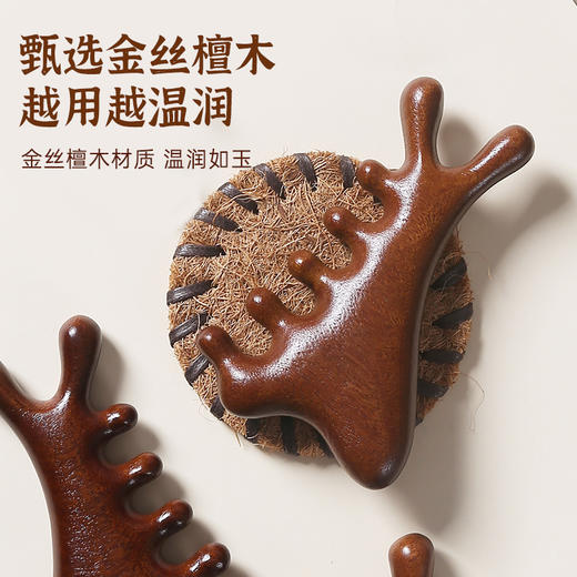 金丝檀木按摩梳 商品图2