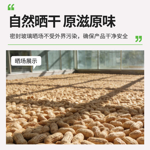 七彩花生260g/袋 商品图3