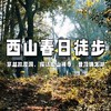 【亲子营】西山春日亲子1日徒步 | 林屋洞寻奇，千年古刹祈福，远眺太湖风光 商品缩略图0