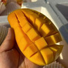 【北纬水仙芒】北纬18°阳光VIP选手，糖度直接拉满18+！  自然熟到枝头才采摘，果皮泛着胭脂红，芯子里像灌了蜂蜜。冷藏后直接啃——夏日冰淇淋的平替，低卡还管饱！ 商品缩略图4