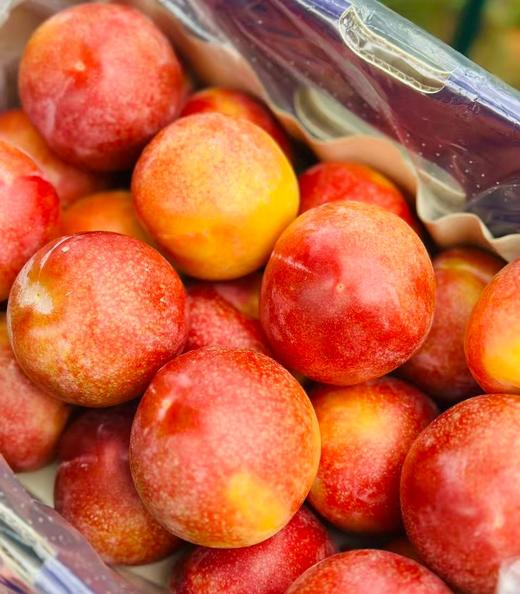 智利空运糖果李|口感介于李子跟恐龙蛋之间，个头大，硬吃脆甜，软吃爆汁，纯甜口，口感很惊艳，觉得樱桃李价格太高的可以试试它哦～～ 商品图5