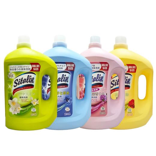 中国 丝塔琳 洗衣液5L多效抗菌去污持久留香多效抗菌檀香玫瑰茉莉清新 商品图1