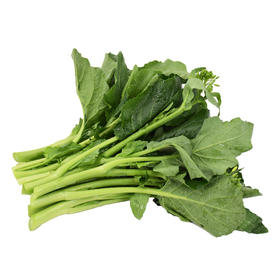 东升农场 供港板蓝根油菜苔 300g