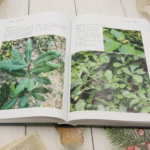 山西太宽河国家级自然保护区常见野生植物图鉴 &3522 商品图3