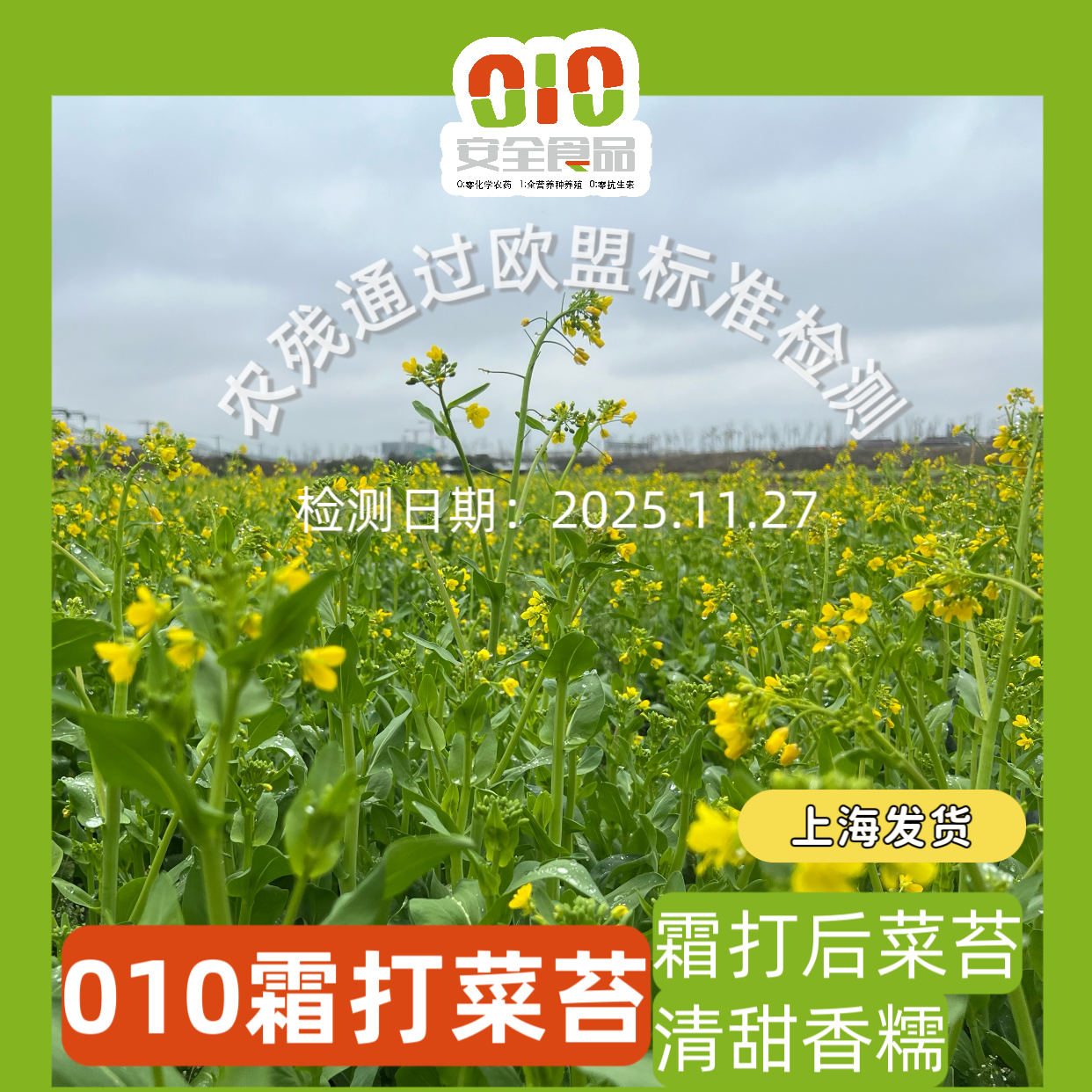 010菜心  清炒 白灼或者做菜饭 清甜菜本味 无化学农药无保鲜水 放心吃