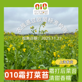 010菜心  清炒 白灼或者做菜饭 清甜菜本味 无化学农药无保鲜水 放心吃