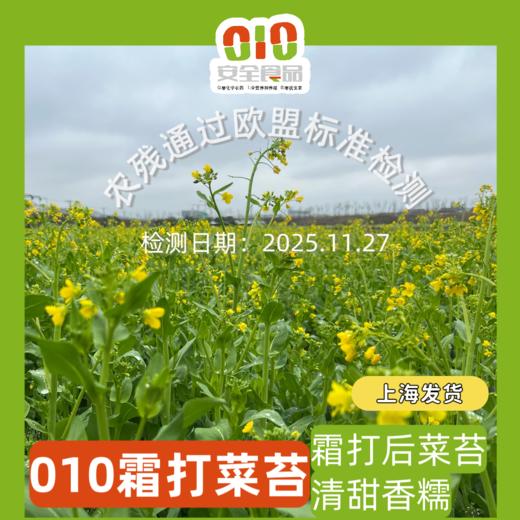 010菜心  清炒 白灼或者做菜饭 清甜菜本味 无化学农药无保鲜水 放心吃 商品图0