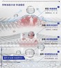 珍达菲 青少年净痘祛痘洁面泡沫+舒缓保湿乳（套装） 商品缩略图3