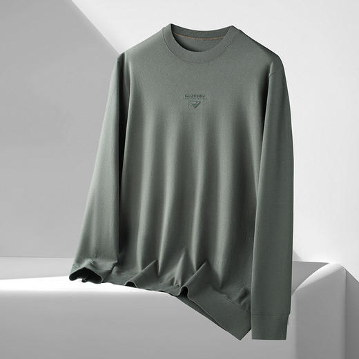 【DDS】大依优型大码男装春季休闲针织毛衫商务百搭圆领长袖T恤毛衣 商品图1