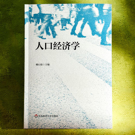 人口经济学 卿石松 人口学与经济学理论 商品图1