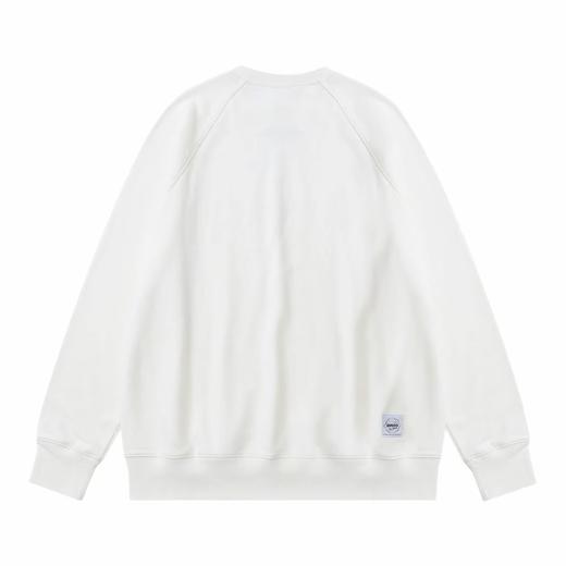 Champion冠军 149.9元 套头无帽卫衣 (线上线下同时在售不保证有货,活动款不退不换介意勿拍)637436-GJ 商品图2