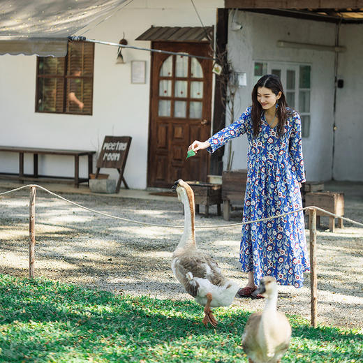 绽放122朵/重磅亚麻数码印花V领长袖连衣裙女春新款百搭大摆长裙 商品图2