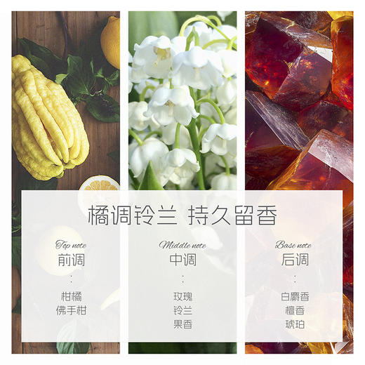 INGRAM'S英格莱恩南非经典乳木果大白罐水润保湿乳霜-D2 商品图5