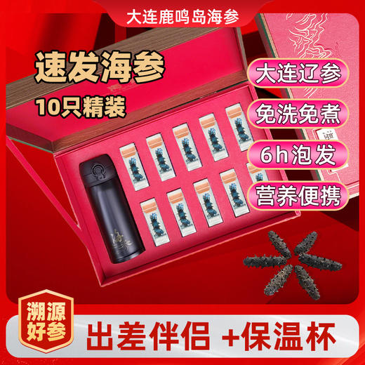 【送泡发杯】鹿岛万帝 速发海参 精美礼盒装 精选野生品质海参 商品图0