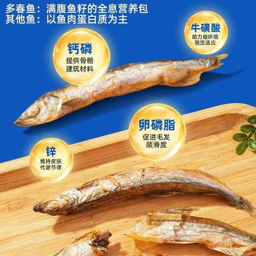 冒险与它满籽冻干多春鱼20g猫咪零食冻干鱼籽小鱼干狗狗零食批发 商品图2