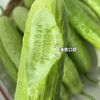 【牛奶白玉黄瓜】采用发酵大豆施肥，牛奶灌溉，新鲜采摘发货，瓜肉饱满，口感爽脆，非常适合生吃，“咔嚓”一声，一口咬下，清脆悦耳·满嘴尽是清新。 商品缩略图5