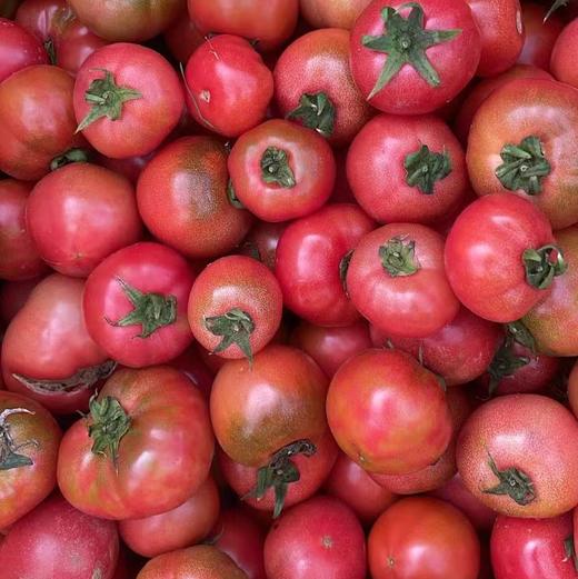 鸿翠园 有机小草莓柿子（有机铁柿子） 商品图1