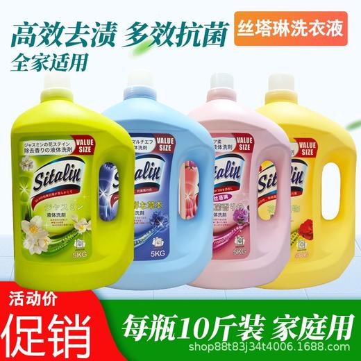 中国 丝塔琳 洗衣液5L多效抗菌去污持久留香多效抗菌檀香玫瑰茉莉清新 商品图0