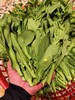 自己家种的白菜苔，1斤 商品缩略图1