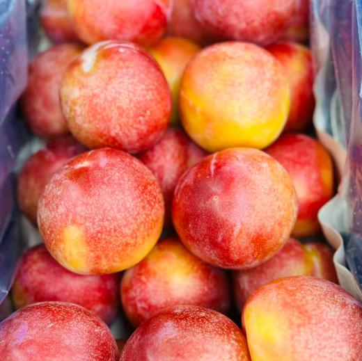 智利空运糖果李|口感介于李子跟恐龙蛋之间，个头大，硬吃脆甜，软吃爆汁，纯甜口，口感很惊艳，觉得樱桃李价格太高的可以试试它哦～～ 商品图4