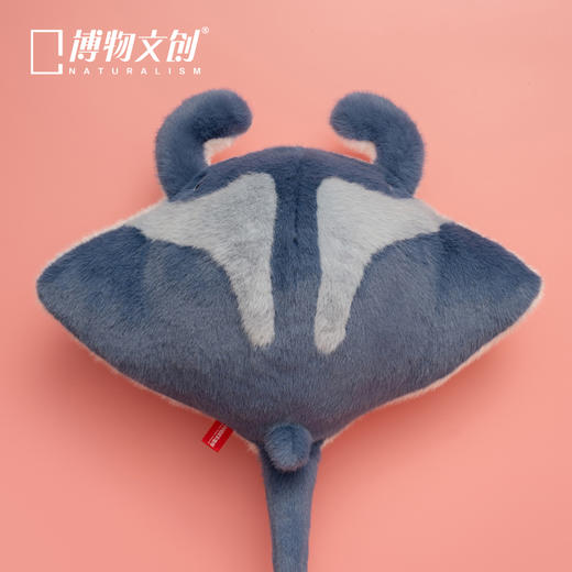 博物文创 大圆宝 双吻前口蝠鲼 海洋动物 新年元旦生日礼物 商品图2