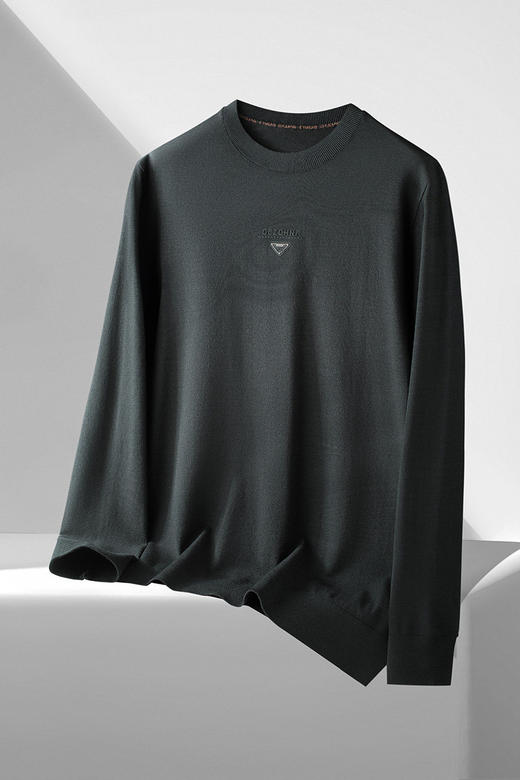 【DDS】大依优型大码男装春季休闲针织毛衫商务百搭圆领长袖T恤毛衣 商品图5