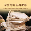 赤松茸（去皮）80g/袋 商品缩略图2