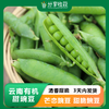云南有机甜豌豆 | 清香甜脆  | 3天内发货 | 基地直发包邮 *Ecological pea 商品缩略图0