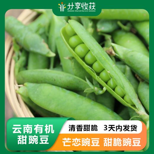 云南有机甜豌豆 | 清香甜脆  | 3天内发货 | 基地直发包邮 *Ecological pea 商品图0
