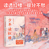 少年读红楼 (读透红楼，提分不愁) 商品缩略图0