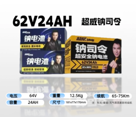 【双十一美点特惠】62V24A 超威钠司令 武汉到店