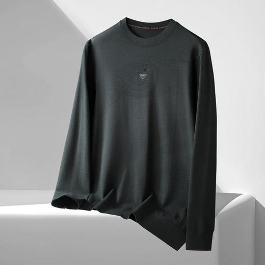 【DDS】大依优型大码男装春季休闲针织毛衫商务百搭圆领长袖T恤毛衣 商品图4