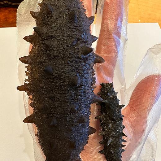 【人工深海采捕】鹿岛万帝 淡干海参礼盒  野生优质辽刺参 商品图4