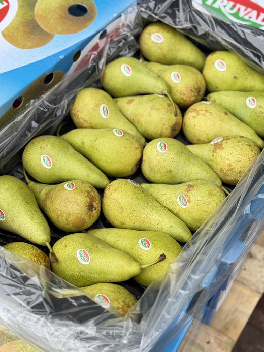 比利时进口啤梨 商品图7