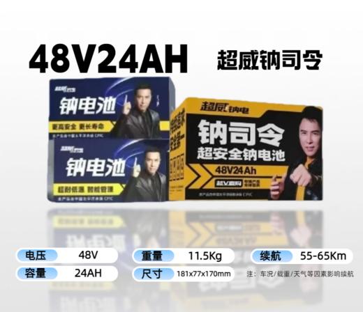 【双十一美点特惠】48V24A 超威钠司令 武汉到店 商品图0